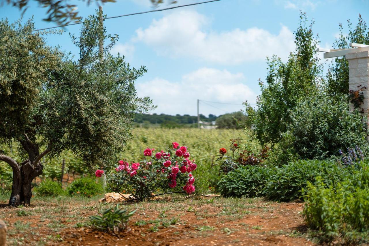 Trulli Audendum Villa Martina Franca Buitenkant foto
